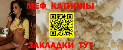 стафф Кингисепп