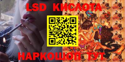 стафф Кингисепп