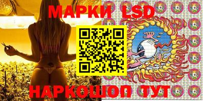 стафф Кингисепп
