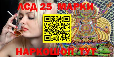 стафф Кингисепп