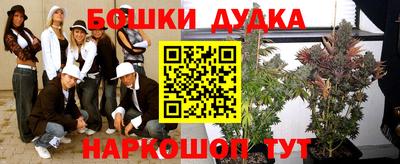 стафф Кингисепп