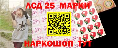 стафф Кингисепп