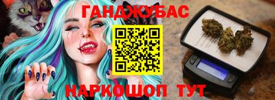 стафф Кингисепп