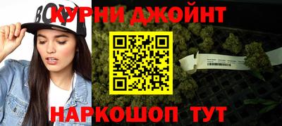 стафф Кингисепп