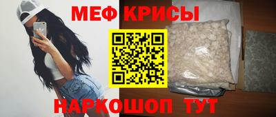 стафф Кингисепп