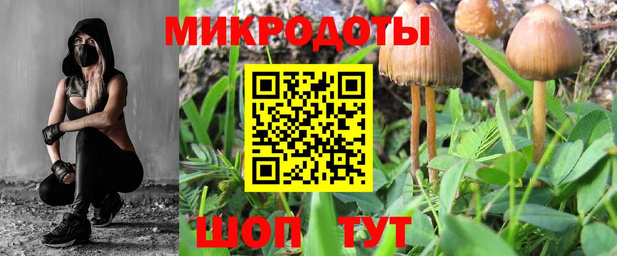 Озёрск  Псилоцибиновые грибы ЛСД  Вход с VPN  Галлюциногенные грибы Psilocybine cubensis 