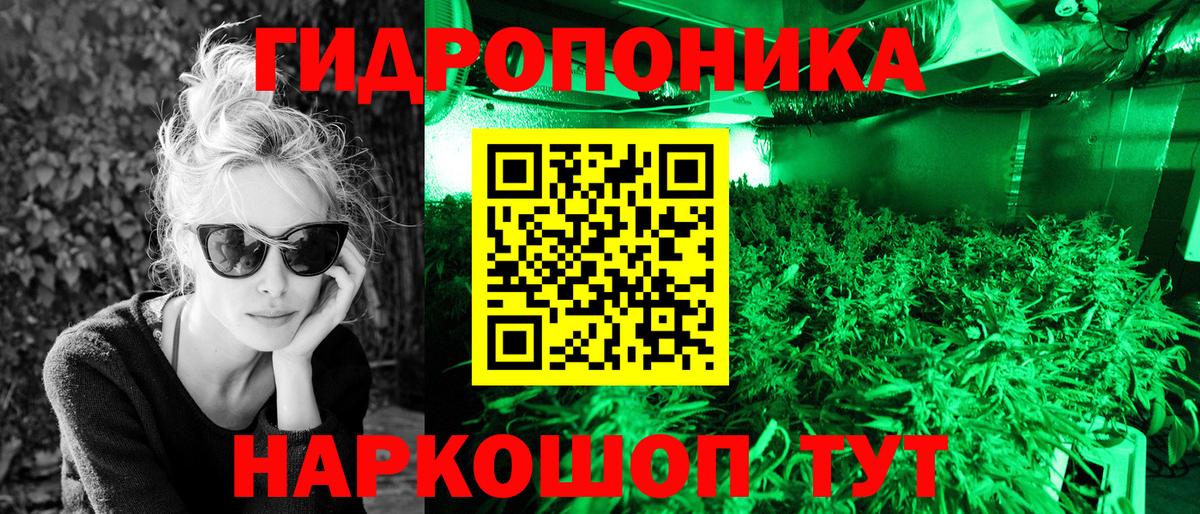 Конопля Amnesia Озёрск